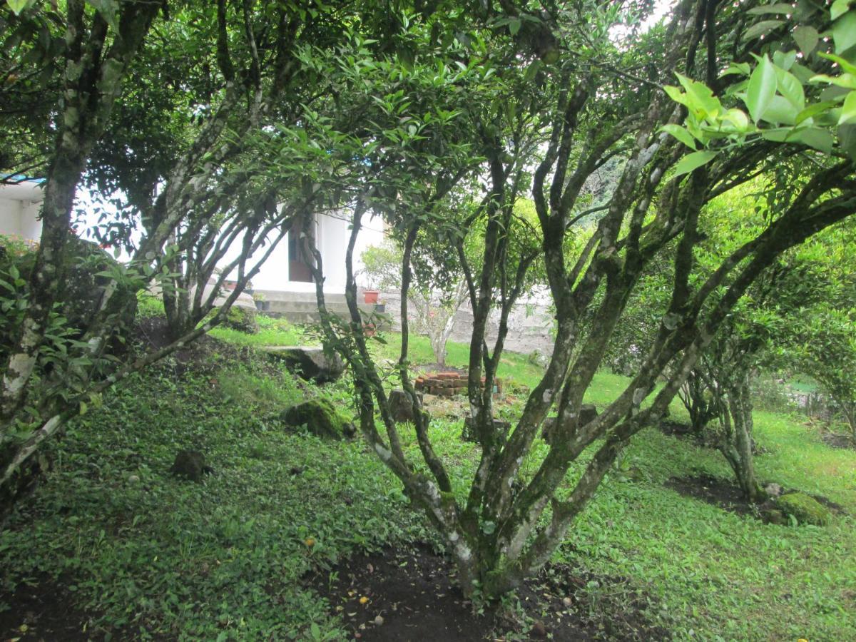 Casa Martin En Banos De Agua Santa Villa Eksteriør billede